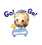 モニちゃんスタンプ（個別スタンプ：9）