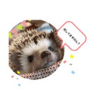 はりねずみのたわしさん（個別スタンプ：3）