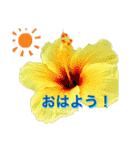 景色スタンプ-ハワイ（個別スタンプ：6）