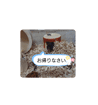 クロハムスタンプ（個別スタンプ：8）