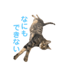えん＆しらす＆ごましお（個別スタンプ：3）