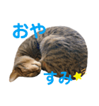 えん＆しらす＆ごましお（個別スタンプ：10）