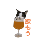 えん＆しらす＆ごましお（個別スタンプ：27）