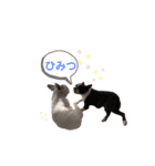 鼻ぺちゃ犬（個別スタンプ：4）
