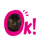 くろねこニラちゃん（個別スタンプ：2）