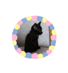 くろねこニラちゃん（個別スタンプ：3）