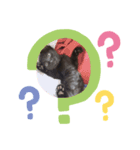 くろねこニラちゃん（個別スタンプ：7）