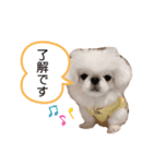 ゆめきち①（個別スタンプ：2）