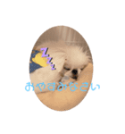 ゆめきち①（個別スタンプ：3）