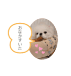 ゆめきち①（個別スタンプ：4）