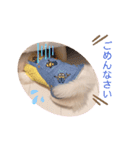ゆめきち①（個別スタンプ：7）