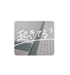 畳 あいさつのスタンプ（個別スタンプ：7）