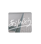 畳 あいさつのスタンプ（個別スタンプ：9）