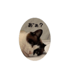 おれ、まろ（個別スタンプ：3）