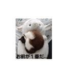 おれ、まろ（個別スタンプ：4）