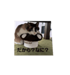 おれ、まろ（個別スタンプ：7）