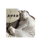 げんちゃちゃ（個別スタンプ：2）
