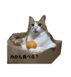 げんちゃちゃ（個別スタンプ：4）