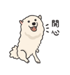 スピッツ いぬ（個別スタンプ：1）