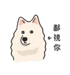 スピッツ いぬ（個別スタンプ：2）