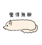 スピッツ いぬ（個別スタンプ：3）
