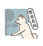 スピッツ いぬ（個別スタンプ：4）