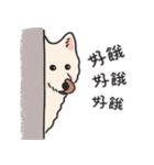 スピッツ いぬ（個別スタンプ：5）