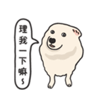 スピッツ いぬ（個別スタンプ：6）