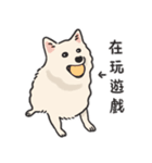 スピッツ いぬ（個別スタンプ：8）