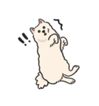 スピッツ いぬ（個別スタンプ：11）