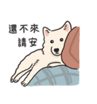 スピッツ いぬ（個別スタンプ：13）