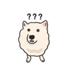 スピッツ いぬ（個別スタンプ：14）
