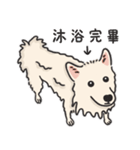 スピッツ いぬ（個別スタンプ：15）