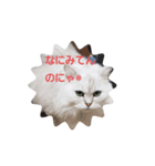 にゃんずの一言（個別スタンプ：4）
