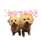 クッキーとジョニー（個別スタンプ：14）