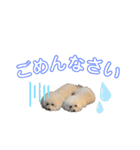 クッキーとジョニー（個別スタンプ：15）