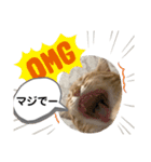 茶トラ・あるくん（個別スタンプ：3）