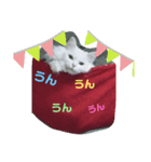 ニャンズ スタンプ2（個別スタンプ：7）