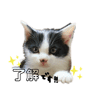 てんてん。①（個別スタンプ：8）