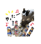 てんてん。①（個別スタンプ：17）