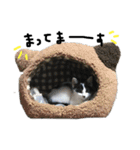 てんてん。①（個別スタンプ：23）