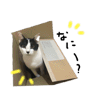 てんてん。①（個別スタンプ：27）