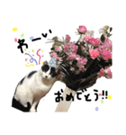 てんてん。①（個別スタンプ：30）