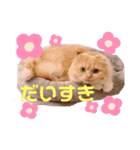 chouchouのスタンプ（個別スタンプ：1）