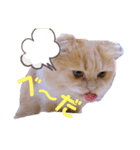 chouchouのスタンプ（個別スタンプ：7）