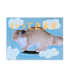 chouchouのスタンプ（個別スタンプ：15）
