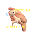 むぎごまちゃん（個別スタンプ：2）