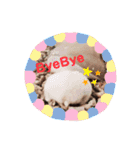むぎごまちゃん（個別スタンプ：3）