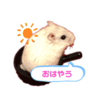 むぎごまちゃん（個別スタンプ：4）