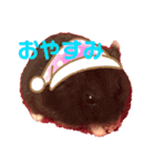 むぎごまちゃん（個別スタンプ：7）